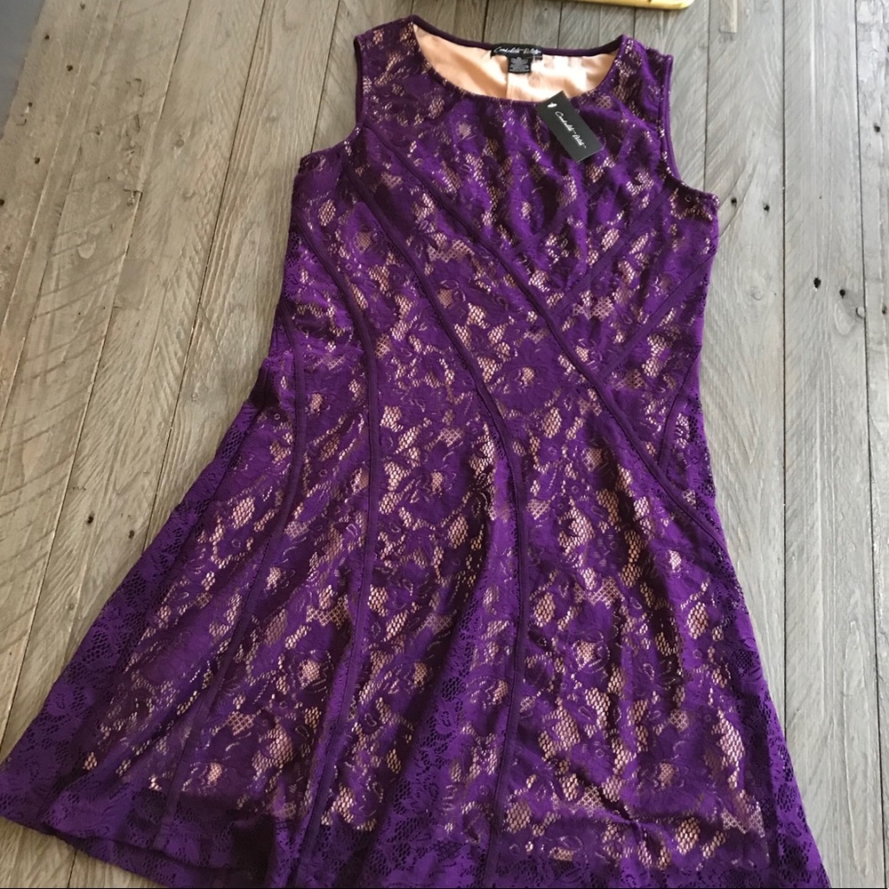 NWT Purple lace over nude Dress